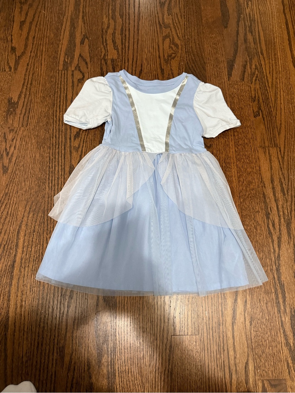 GAP Cinderella Tulle Princess Dress
